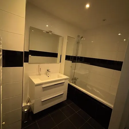 Spacious Bright Flat 300m From River Bank Apartment Lyon
